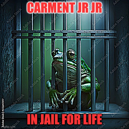 ??? | CARMENT JR JR; IN JAIL FOR LIFE | image tagged in funny | made w/ Imgflip meme maker