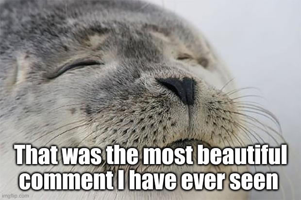 Satisfied Seal Meme | That was the most beautiful comment I have ever seen | image tagged in memes,satisfied seal | made w/ Imgflip meme maker