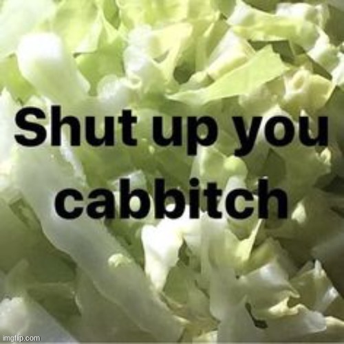 shut up you cabbitch | image tagged in shut up you cabbitch | made w/ Imgflip meme maker