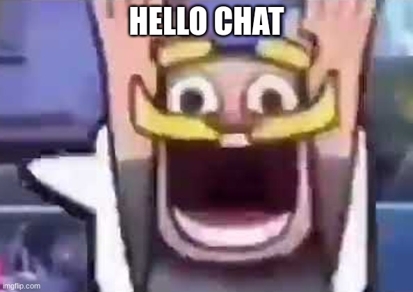 clash royale knight emote | HELLO CHAT | image tagged in clash royale knight emote | made w/ Imgflip meme maker