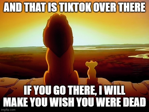 Lion King Meme | AND THAT IS TIKTOK OVER THERE IF YOU GO THERE, I WILL MAKE YOU WISH YOU WERE DEAD | image tagged in memes,lion king | made w/ Imgflip meme maker