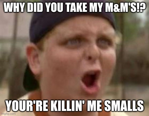 Smalls!!! | WHY DID YOU TAKE MY M&M'S!? YOUR'RE KILLIN' ME SMALLS | image tagged in you play baseball like 50 cent | made w/ Imgflip meme maker