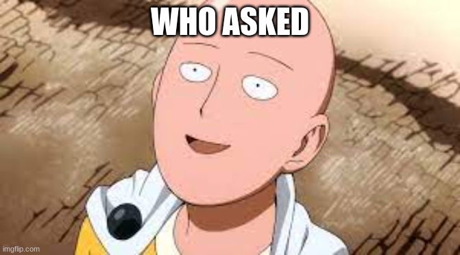 bald sitama | WHO ASKED | image tagged in bald sitama | made w/ Imgflip meme maker