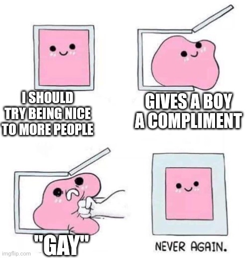 Never again | I SHOULD TRY BEING NICE TO MORE PEOPLE GIVES A BOY A COMPLIMENT "GAY" | image tagged in never again | made w/ Imgflip meme maker