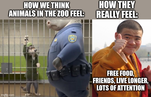 Do they really care? | HOW THEY REALLY FEEL:; HOW WE THINK ANIMALS IN THE ZOO FEEL:; FREE FOOD, FRIENDS, LIVE LONGER, LOTS OF ATTENTION | image tagged in zootopia,animals | made w/ Imgflip meme maker