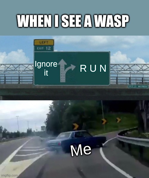 Left Exit 12 Off Ramp | WHEN I SEE A WASP; Ignore it; R U N; Me | image tagged in memes,left exit 12 off ramp | made w/ Imgflip meme maker