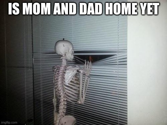 Skeleton Looking Out Window | IS MOM AND DAD HOME YET | image tagged in skeleton looking out window | made w/ Imgflip meme maker