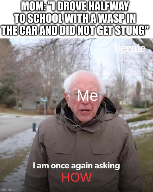 Bernie I Am Once Again Asking For Your Support | MOM: "I DROVE HALFWAY TO SCHOOL WITH A WASP IN THE CAR AND DID NOT GET STUNG"; Me; HOW | image tagged in memes,bernie i am once again asking for your support | made w/ Imgflip meme maker