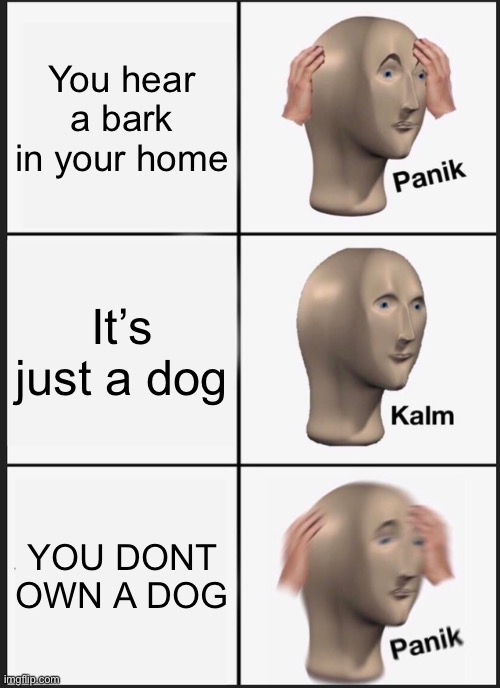 Panik Kalm Panik | You hear a bark in your home; It’s just a dog; YOU DONT OWN A DOG | image tagged in memes,panik kalm panik | made w/ Imgflip meme maker