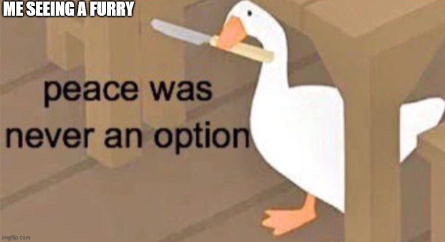 Anyone else | ME SEEING A FURRY | image tagged in untitled goose peace was never an option | made w/ Imgflip meme maker