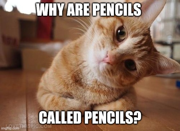 Why are pencils called pencils??? | WHY ARE PENCILS; CALLED PENCILS? | image tagged in curious question cat | made w/ Imgflip meme maker