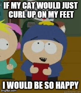 Craig Would Be So Happy | IF MY CAT WOULD JUST CURL UP ON MY FEET I WOULD BE SO HAPPY | image tagged in craig would be so happy,AdviceAnimals | made w/ Imgflip meme maker