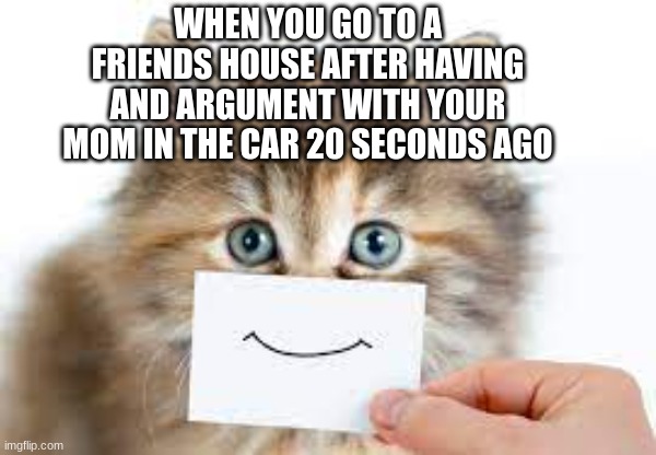 Fake happy | WHEN YOU GO TO A FRIENDS HOUSE AFTER HAVING AND ARGUMENT WITH YOUR MOM IN THE CAR 20 SECONDS AGO | image tagged in so true memes | made w/ Imgflip meme maker