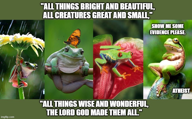 Make friends with an atheist, and let them see Jesus in you. | "ALL THINGS BRIGHT AND BEAUTIFUL,
ALL CREATURES GREAT AND SMALL,"; SHOW ME SOME EVIDENCE PLEASE. ATHEIST; "ALL THINGS WISE AND WONDERFUL,
THE LORD GOD MADE THEM ALL." | image tagged in creation,beauty,god is love,atheism,christianity | made w/ Imgflip meme maker