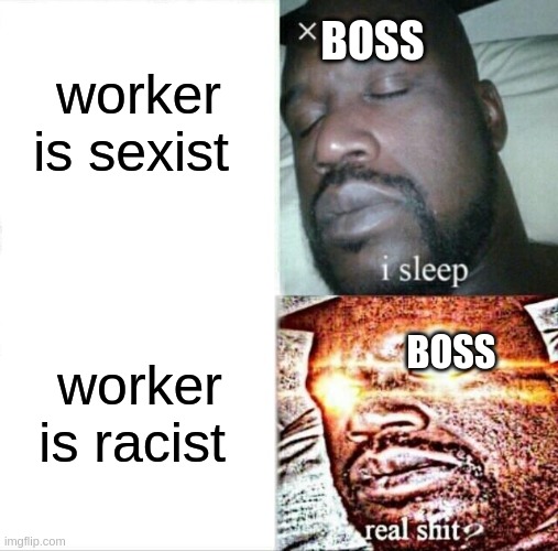 Sleeping Shaq | BOSS; worker is sexist; worker is racist; BOSS | image tagged in memes,sleeping shaq,racism,work,coworkers | made w/ Imgflip meme maker