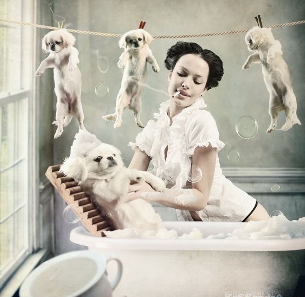 image tagged in dogs,animals,cute,babes