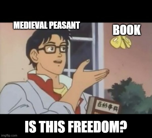 MEDIEVAL PEASANT; BOOK; IS THIS FREEDOM? | image tagged in fun | made w/ Imgflip meme maker