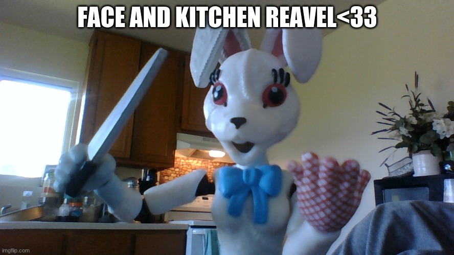 FACE AND KITCHEN REAVEL<33 | made w/ Imgflip meme maker