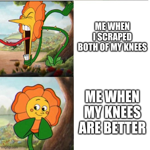 Cuphead Flower | ME WHEN I SCRAPED BOTH OF MY KNEES; ME WHEN MY KNEES ARE BETTER | image tagged in cuphead flower | made w/ Imgflip meme maker