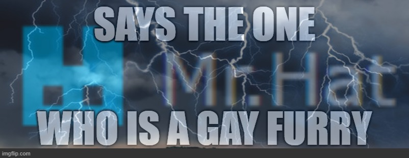 says the one who is a gay furry Blank Meme Template