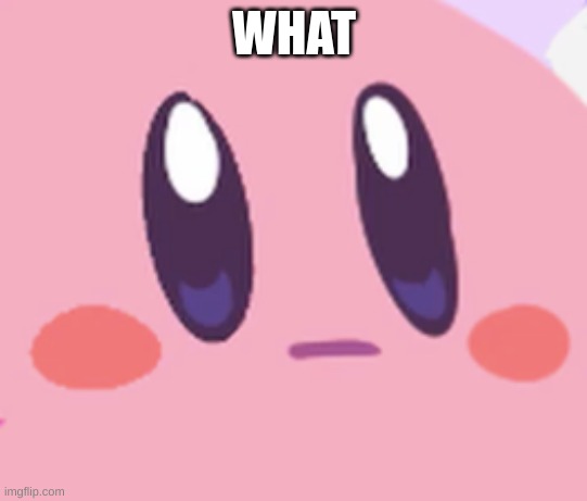 Blank Kirby Face | WHAT | image tagged in blank kirby face | made w/ Imgflip meme maker