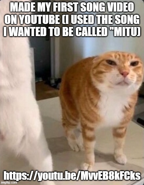 Schizophrenic Cat.pdf | MADE MY FIRST SONG VIDEO ON YOUTUBE (I USED THE SONG I WANTED TO BE CALLED "MITU); https://youtu.be/MvvEB8kFCks | image tagged in schizophrenic cat pdf | made w/ Imgflip meme maker