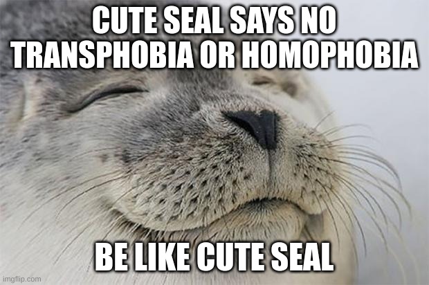 Be nice | CUTE SEAL SAYS NO TRANSPHOBIA OR HOMOPHOBIA; BE LIKE CUTE SEAL | image tagged in memes,satisfied seal | made w/ Imgflip meme maker