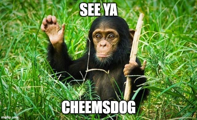 see ya cheemsdog. | SEE YA; CHEEMSDOG | image tagged in goodbye | made w/ Imgflip meme maker