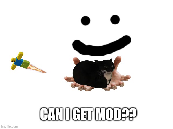 CAN I GET MOD?? | made w/ Imgflip meme maker