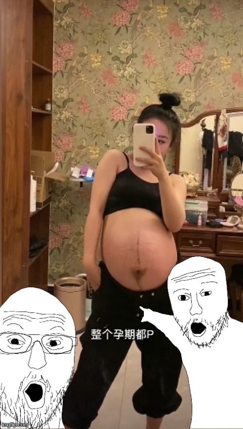 nerds when they finally see a pregnant chinese woman | image tagged in pregnant woman,chinese,china,asian,big belly | made w/ Imgflip meme maker