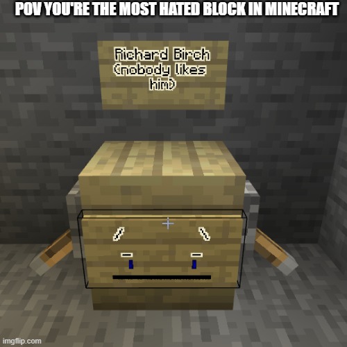Poor birch | POV YOU'RE THE MOST HATED BLOCK IN MINECRAFT | image tagged in minecraft,block,hate | made w/ Imgflip meme maker