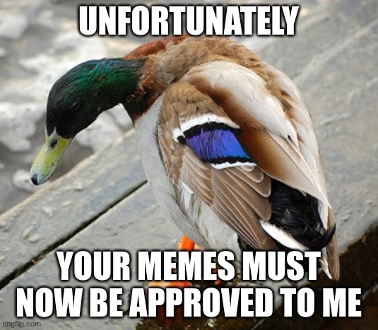 cant have any off topic images | UNFORTUNATELY; YOUR MEMES MUST NOW BE APPROVED TO ME | image tagged in sad duck | made w/ Imgflip meme maker