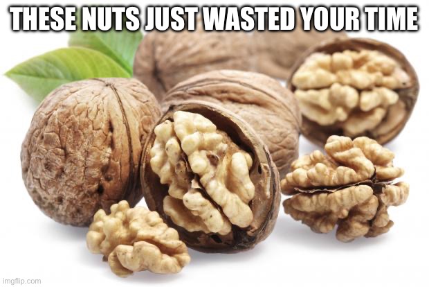 Walnuts | THESE NUTS JUST WASTED YOUR TIME | image tagged in walnuts | made w/ Imgflip meme maker