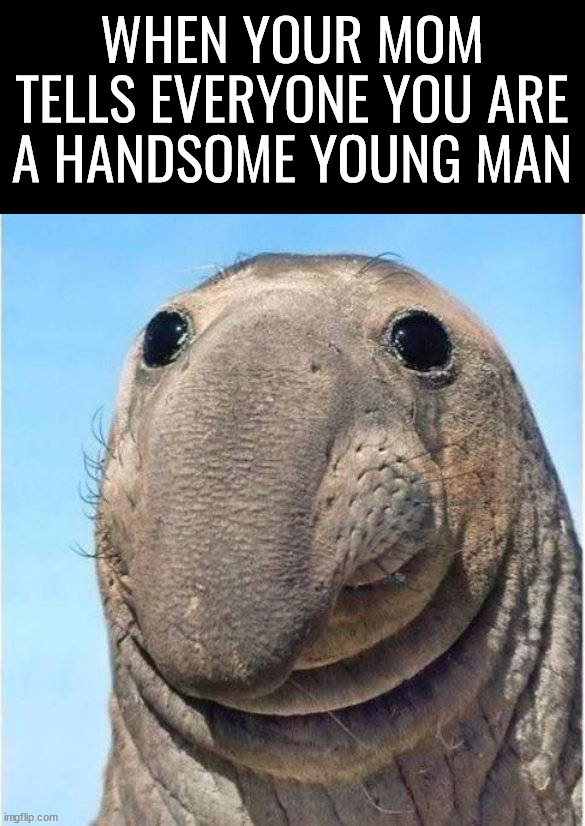 WHEN YOUR MOM TELLS EVERYONE YOU ARE A HANDSOME YOUNG MAN | made w/ Imgflip meme maker