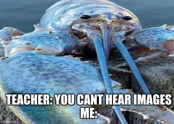 Blue Lobster | TEACHER: YOU CANT HEAR IMAGES
ME: | image tagged in blue lobster | made w/ Imgflip meme maker