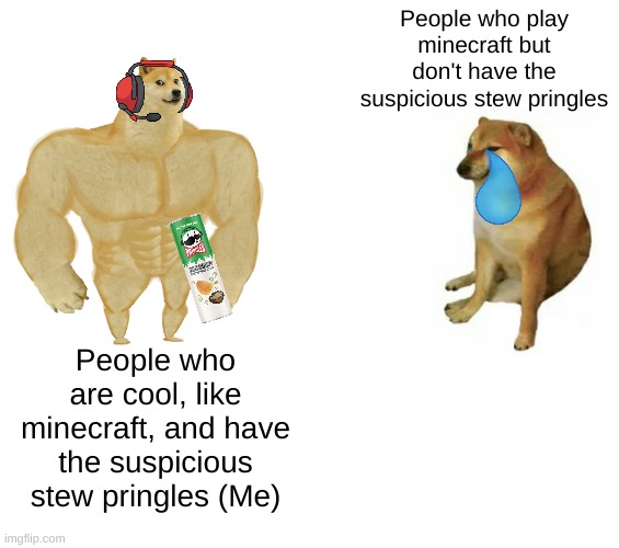 IM SO COOL | People who play minecraft but don't have the suspicious stew pringles; People who are cool, like minecraft, and have the suspicious stew pringles (Me) | image tagged in memes,buff doge vs cheems | made w/ Imgflip meme maker