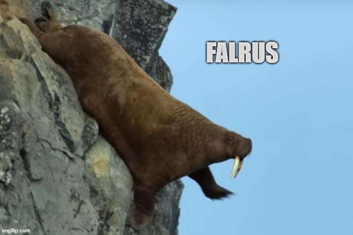 FaLrus | FALRUS | image tagged in falling walrus | made w/ Imgflip meme maker