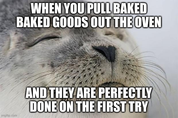 If you bake you know this feeling | WHEN YOU PULL BAKED BAKED GOODS OUT THE OVEN; AND THEY ARE PERFECTLY DONE ON THE FIRST TRY | image tagged in memes,satisfied seal,what if i told you,walter white,is,cooking | made w/ Imgflip meme maker