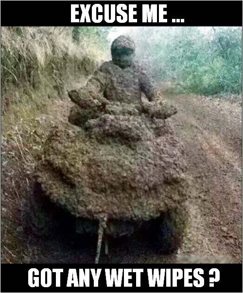 Someone Loves Quad Biking ! | EXCUSE ME ... GOT ANY WET WIPES ? | image tagged in quad bike,mud,wet wipes | made w/ Imgflip meme maker