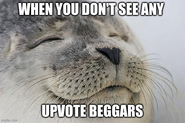 Satisfied Seal Meme | WHEN YOU DON'T SEE ANY; UPVOTE BEGGARS | image tagged in memes,satisfied seal | made w/ Imgflip meme maker