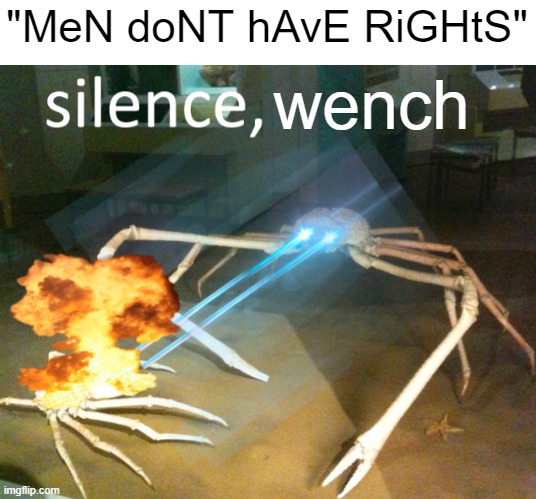 Silence Crab | "MeN doNT hAvE RiGHtS"; wench | image tagged in silence crab | made w/ Imgflip meme maker