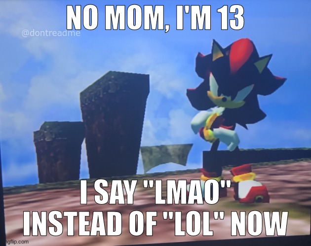 shadow standing | NO MOM, I'M 13; @dontreadme; I SAY "LMAO" INSTEAD OF "LOL" NOW | image tagged in shadow standing | made w/ Imgflip meme maker