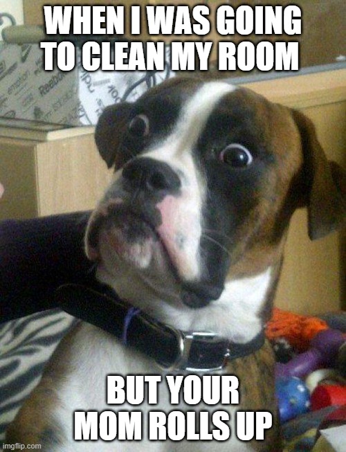 Blankie the Shocked Dog | WHEN I WAS GOING TO CLEAN MY ROOM; BUT YOUR MOM ROLLS UP | image tagged in blankie the shocked dog | made w/ Imgflip meme maker