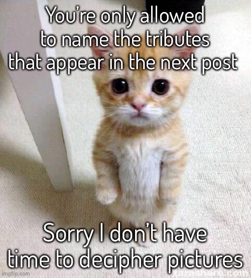 Cute Cat | You’re only allowed to name the tributes that appear in the next post; Sorry I don’t have time to decipher pictures | image tagged in memes,cute cat | made w/ Imgflip meme maker