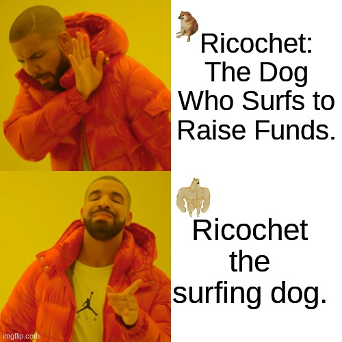 for my teacher | Ricochet: The Dog Who Surfs to Raise Funds. Ricochet the surfing dog. | image tagged in memes,drake hotline bling | made w/ Imgflip meme maker