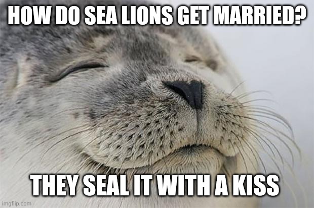 Seal pun | HOW DO SEA LIONS GET MARRIED? THEY SEAL IT WITH A KISS | image tagged in memes,satisfied seal | made w/ Imgflip meme maker