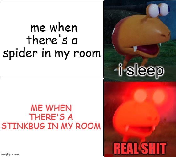 stinkbugs smell like ass | me when there's a spider in my room; ME WHEN THERE'S A STINKBUG IN MY ROOM | image tagged in i sleep real shit bulborb,stinkbugs,spiders,bugs,pikmin,funny | made w/ Imgflip meme maker