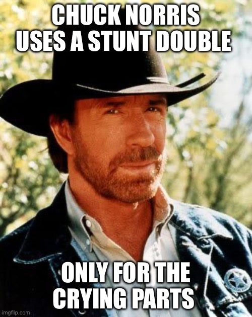 Lol | CHUCK NORRIS USES A STUNT DOUBLE; ONLY FOR THE CRYING PARTS | image tagged in memes,chuck norris | made w/ Imgflip meme maker