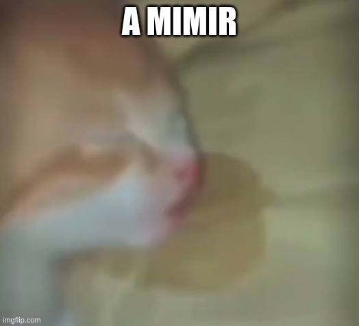 the sleeper | A MIMIR | image tagged in the sleeper | made w/ Imgflip meme maker