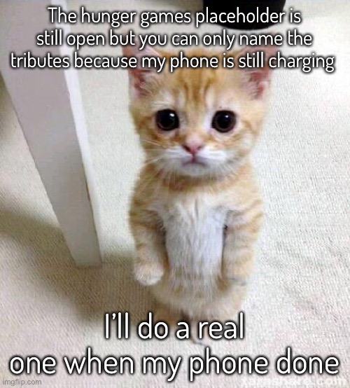 Forgot the link | The hunger games placeholder is still open but you can only name the tributes because my phone is still charging; I’ll do a real one when my phone done | image tagged in memes,cute cat | made w/ Imgflip meme maker